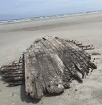 Wood structure.webp