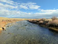 trip 111516 1.webp