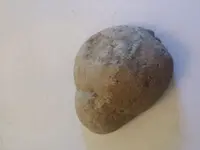 1476044167949988384305.webp