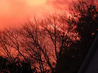 K1600_DSCN0190.webp