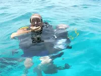 ImageUploadedByTreasureNet.com1479303426.858203.webp ImageUploadedByTreasureNet.com1479303426.858203.webp
