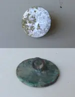 button1.webp