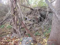 PB040183.webp