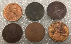 6 Wheats.webp