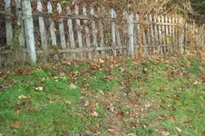 100_8797.webp