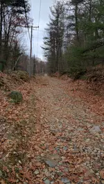 IMG_20161116_152239.webp