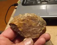 DSCF1605.webp