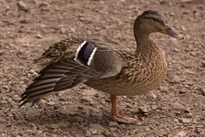 K1600_IMG_7004.webp