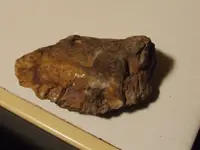 DSCF1609.webp
