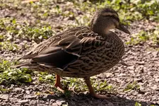 K1600_IMG_7024.webp