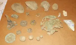DSCN0834.webp