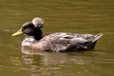 K1600_IMG_7035.webp