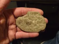 DSCF1629.webp