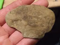 DSCF1633.webp