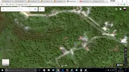 ampliada 03.webp