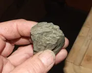 DSCF1661.webp