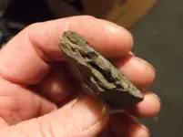 DSCF1681.webp