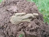 20161009_092146.webp