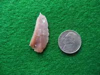 DSCN1657.webp