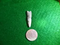 DSCN1650.webp