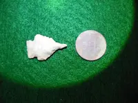 DSCN1646.webp