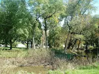 DSCF0001.webp