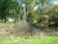 DSCF0006.webp