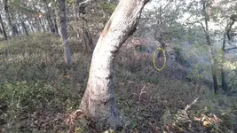 20161027_163955  use like a hoyo.webp