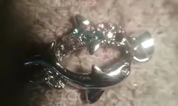 20161120_160247.webp