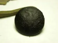 DSCN1225.webp