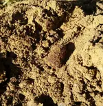 20161108_121342.webp 20161108_121342.webp