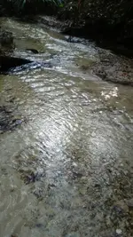 1478422453142.webp