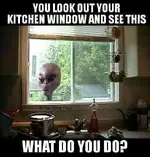 FB_IMG_1479020938734.webp