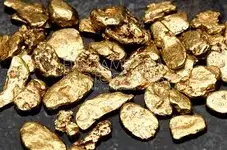 Gold Nuggets.webp