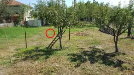 photo-J-dix.webp
