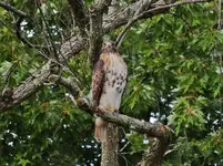 DSCN9887.webp