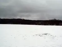 P1050584.webp