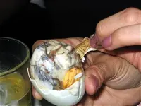 balut.webp