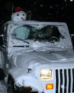 snow1.webp