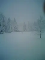 snow.webp