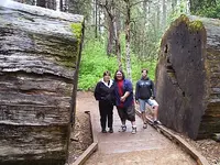 114 BIG TREES.webp