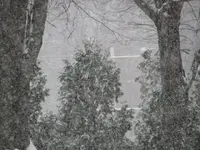 Lots of snow 001.webp
