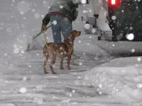 Lots of snow 028.webp