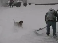 Lots of snow 029.webp