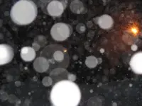 Lots of snow 032.webp