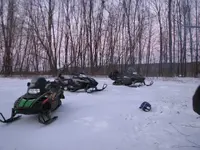 snowmobile, birds 035.webp