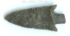 LATE ARCHAIC BARBED VAR. STRAIGHT BASE76, FAIRCHILDS CREEK, ADAMS COUNTY, MS.webp