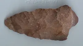 LATE ARCHAIC BARBED VAR. STRAIGHT BASE80, FOSSILIFEROUS, FAIRCHILDS CREEK, ADAMS COUNTY, MS.webp