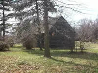 100_0321.webp