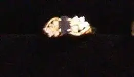 Gold Ring.webp